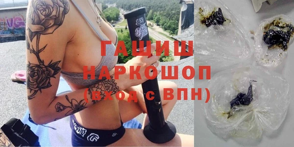 стаф Алзамай