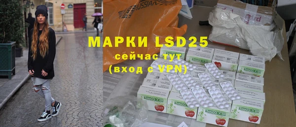 стаф Алзамай