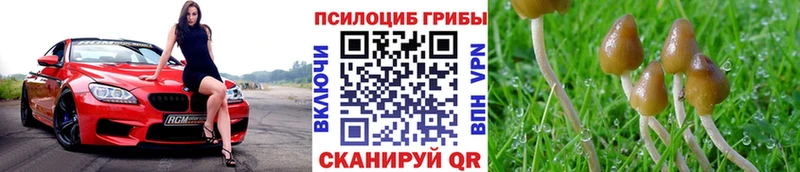 Галлюциногенные грибы мухоморы  Нижний Ломов 